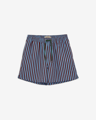 BLUE & BROWN STRIPED SWIM SHORTS
