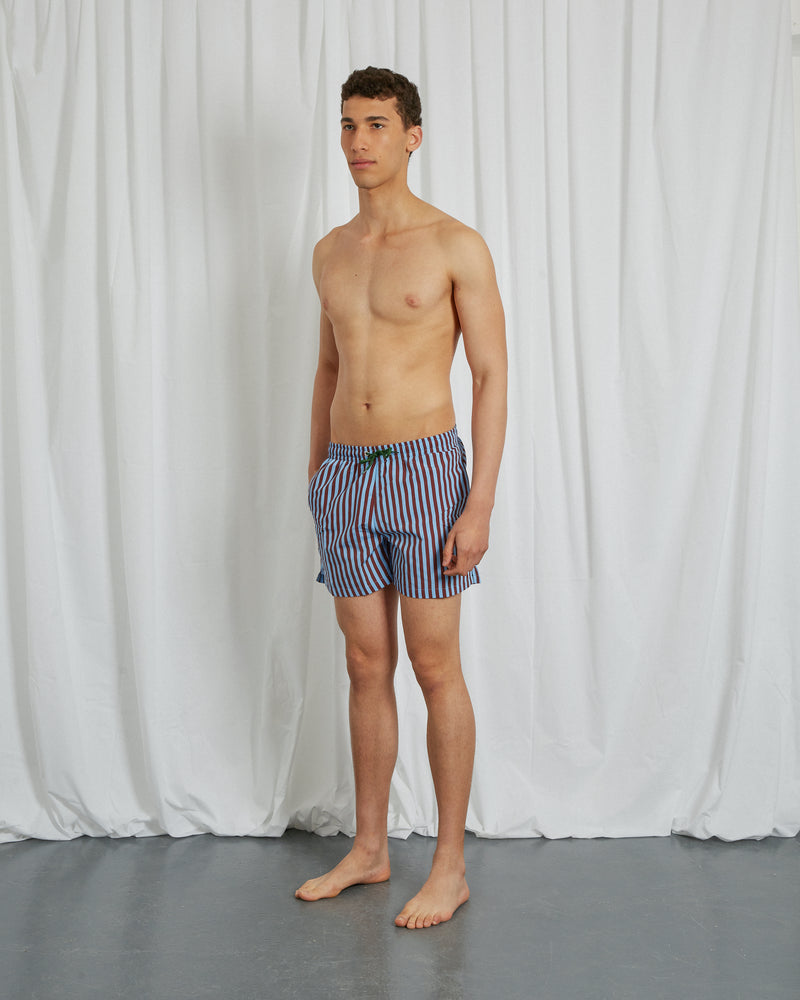 BLUE & BROWN STRIPED SWIM SHORTS