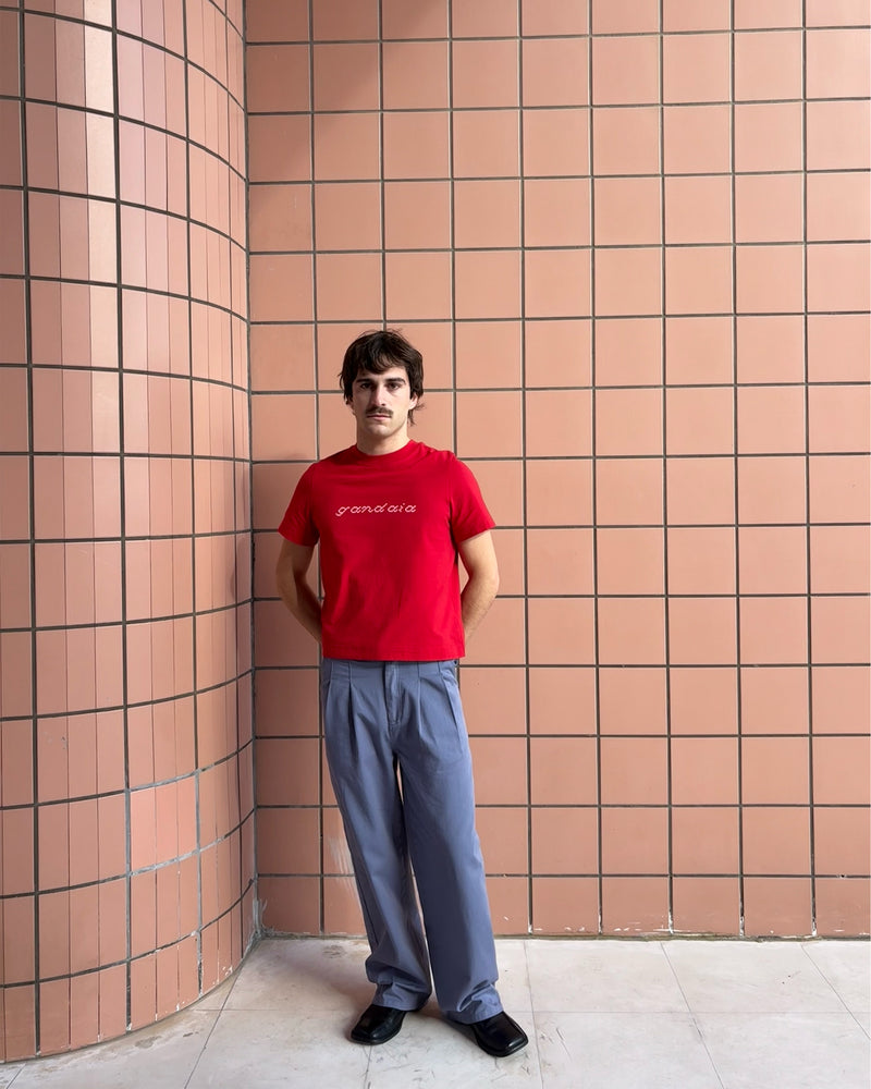 BLUE-GREY PLEATED TROUSERS